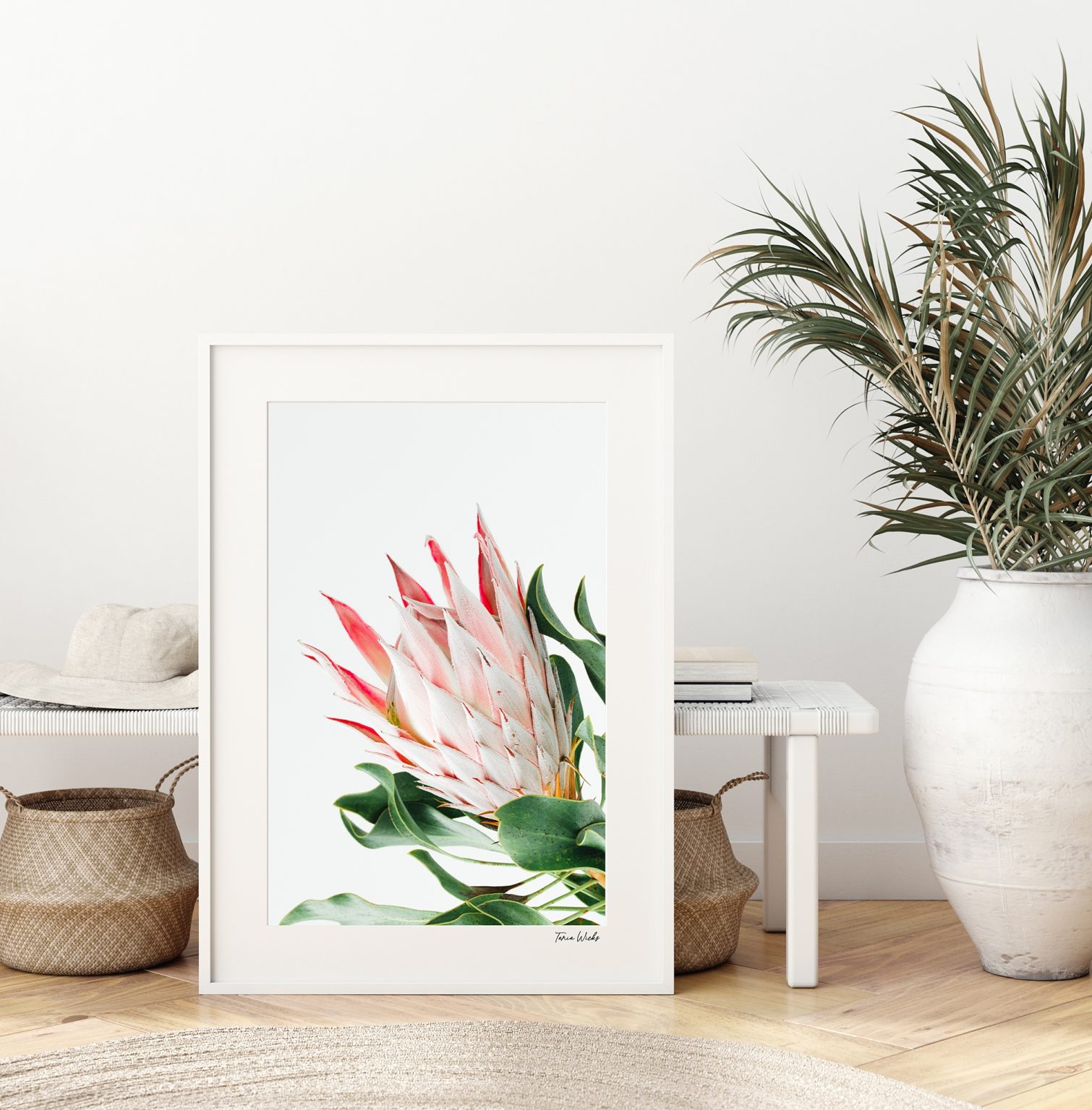 King Protea Wall Art 